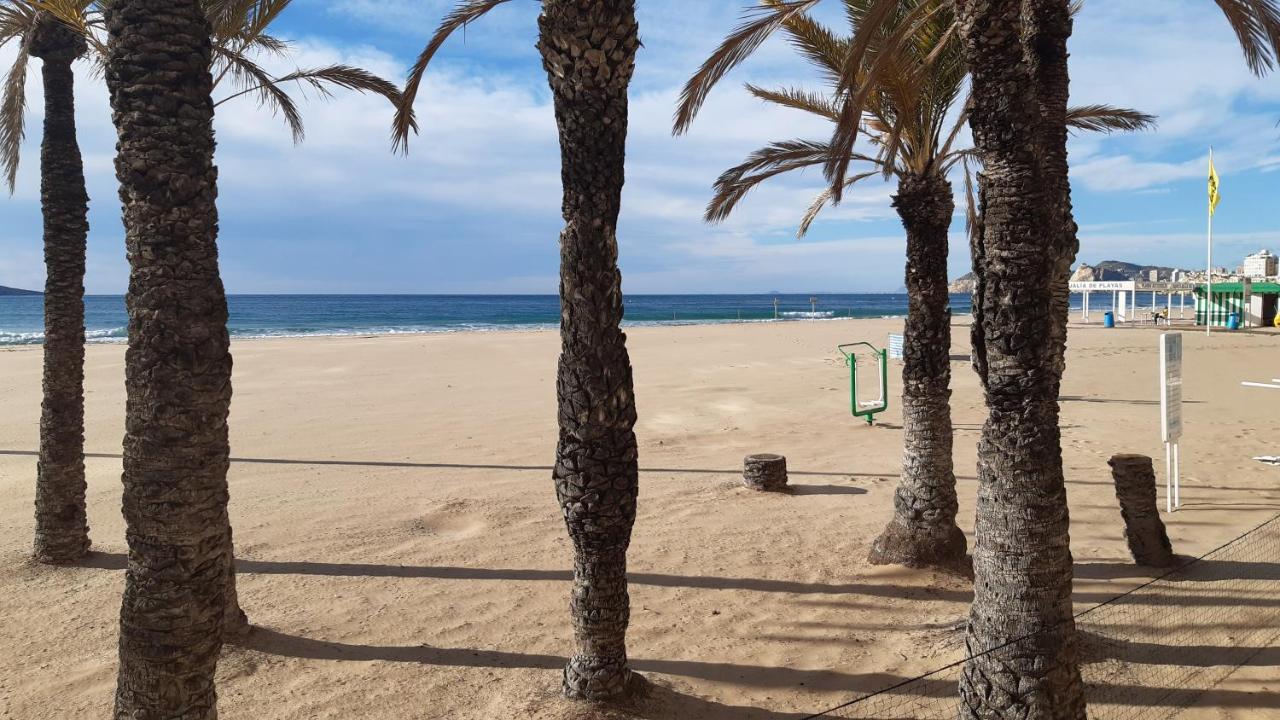 Appartement Benidorm Mariscal Dış mekan fotoğraf